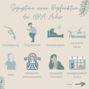 HPA Achse: Störung und Symptome
