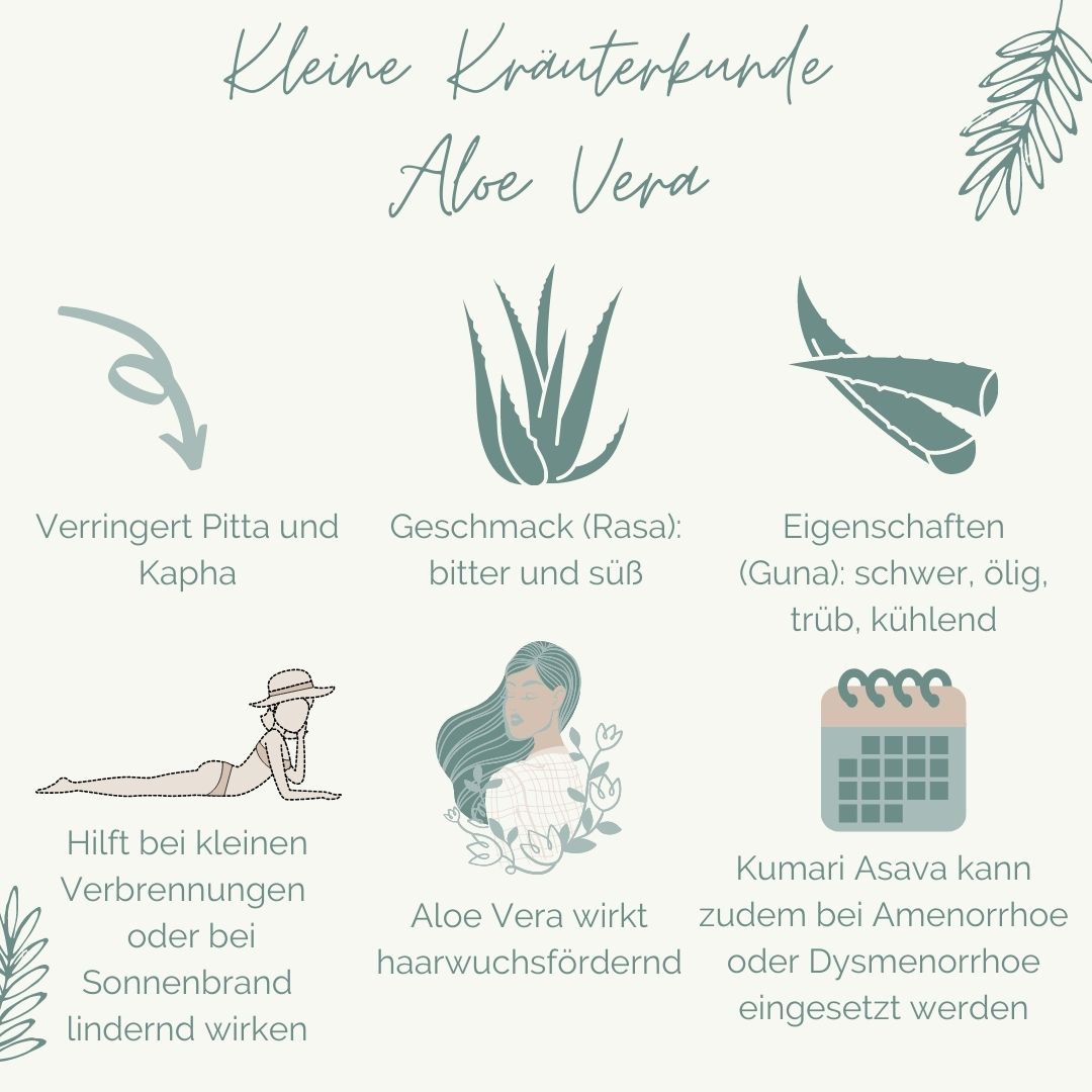 kaninchen aloe vera Aloe-Vera-Dünger — Silberkraft